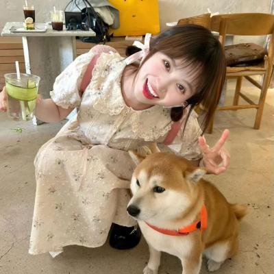 五等分的新娘第一季